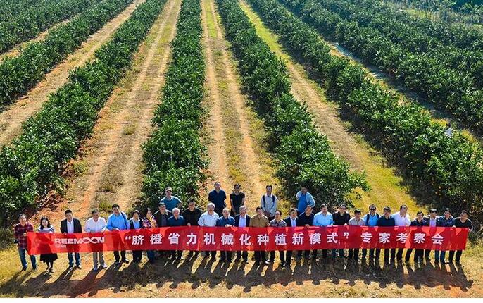 綠萌水果分選設(shè)備可進(jìn)行重量大小分級、顏色、瑕疵外觀視覺分選，無損檢測糖度，甜度，酸度、空心、浮皮、褐變、果肉損傷等內(nèi)部指標(biāo)檢測，提供智能全自動臍橙分選機(jī),臍橙分選設(shè)備,臍橙選果機(jī),臍橙選果設(shè)備,臍橙分級機(jī),臍橙稱重分揀機(jī),臍橙大小直徑選果，臍橙采后分選方案和價格