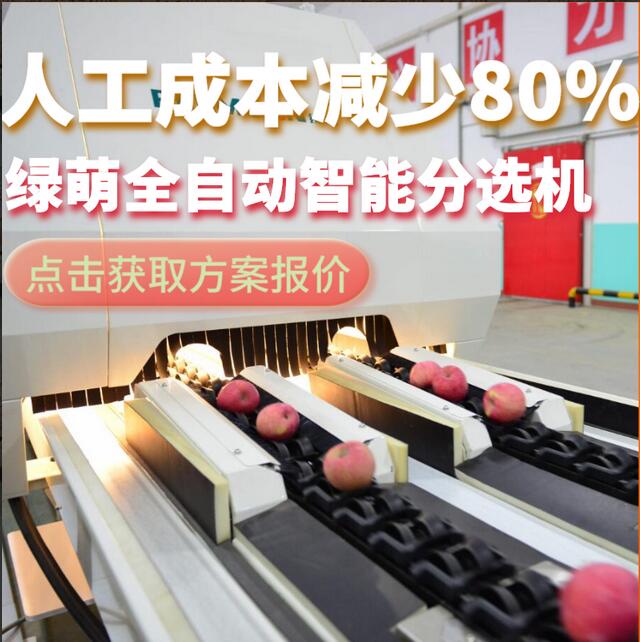 綠萌是水果智能分選設(shè)備國家高新技術(shù)企業(yè),對(duì)水果采后處理提供全套解決方案。綠萌水果分選機(jī)可進(jìn)行大小重量分級(jí)、外觀顏色分選、內(nèi)部品質(zhì)糖度檢測(cè)。提供全自動(dòng)水果分選設(shè)備,水果選果機(jī),智能水果分選機(jī),全自動(dòng)水果分選機(jī),水果分級(jí)機(jī),小型水果分選機(jī)，水果分級(jí)機(jī),水果稱重分選機(jī),水果重量分選機(jī),水果大小分選機(jī),水果顏色分選機(jī),水果糖度分選機(jī),配套水果清洗機(jī)、水果洗果保鮮機(jī)、水果包裝機(jī)、水果消毒滅菌殺菌機(jī),水果打蠟機(jī)。更多水果分選方案報(bào)價(jià),小型水果選果設(shè)備價(jià)格、水果分級(jí)機(jī)怎么樣、口碑好質(zhì)量好的水果選果機(jī)、了解高性能水果分選機(jī)多少錢,咨詢客服免費(fèi)獲取