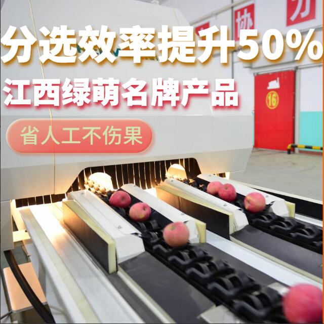綠萌是水果智能分選設(shè)備國家高新技術(shù)企業(yè),對(duì)水果采后處理提供全套解決方案。綠萌水果分選機(jī)可進(jìn)行大小重量分級(jí)、外觀顏色分選、內(nèi)部品質(zhì)糖度檢測(cè)。提供全自動(dòng)水果分選設(shè)備,水果選果機(jī),智能水果分選機(jī),全自動(dòng)水果分選機(jī),水果分級(jí)機(jī),小型水果分選機(jī)，水果分級(jí)機(jī),水果稱重分選機(jī),水果重量分選機(jī),水果大小分選機(jī),水果顏色分選機(jī),水果糖度分選機(jī),配套水果清洗機(jī)、水果洗果保鮮機(jī)、水果包裝機(jī)、水果消毒滅菌殺菌機(jī),水果打蠟機(jī)。更多水果分選方案報(bào)價(jià),小型水果選果設(shè)備價(jià)格、水果分級(jí)機(jī)怎么樣、口碑好質(zhì)量好的水果選果機(jī)、了解高性能水果分選機(jī)多少錢,咨詢客服免費(fèi)獲取