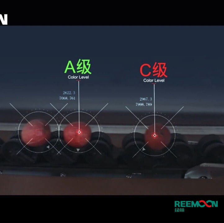 綠萌水果分選機多少錢？江西綠萌科技控股有限公司廠家直銷報價