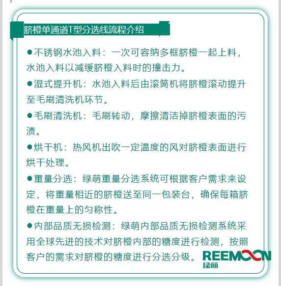 今年綠萌推出T型系列設備，專為中國果農(nóng)研制的高性價比的設備，具有功能齊全、小型輕便可移動、操作簡單、易維護的優(yōu)點。臍橙單通道分選線確保每箱分選過的臍橙個頭勻稱、糖酸度相近，有著穩(wěn)定的品質(zhì)，讓非標準的農(nóng)產(chǎn)品標準化。該分選線專門為中國小戶果農(nóng)定制，為客戶實地考察，根據(jù)客戶需求全流程設計，