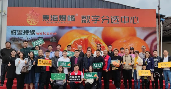 東海爆橘建立綠萌數(shù)字分選中心一陣果汁，細膩無渣，這橘子臉皮很薄，脾氣“爆”！每年秋冬季節(jié)，市場上各種各樣的橘子層出不窮，有些是黃澄澄的，有些是紅色的，讓人一看就喜歡，每年都買回來。貪心的時候找到一個，手里冰涼。我迫不及待地把它剝下來，迅速放進嘴里。那一刻橙汁從我的喉嚨滑落，整個秋冬的干燥被