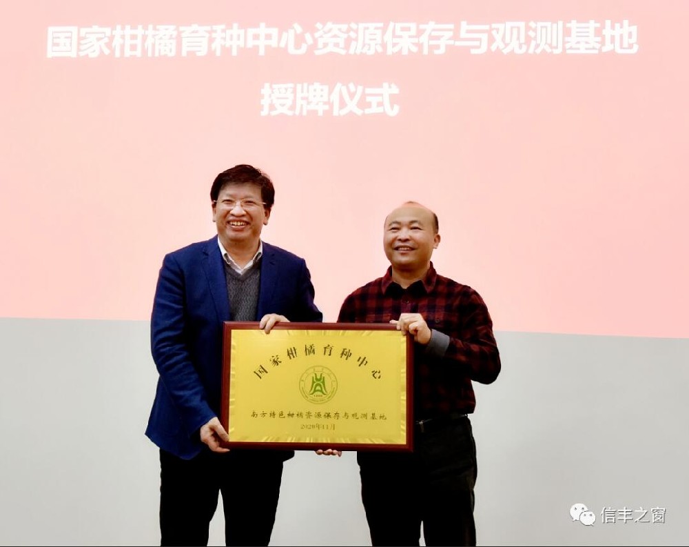 兩塊牌匾！我縣臍橙產(chǎn)業(yè)高質(zhì)量發(fā)展又上新臺(tái)階 11月30日，中國工程院副院長、民盟中央副主席、中國科學(xué)技術(shù)協(xié)會(huì)副主席、國家現(xiàn)代農(nóng)業(yè)柑橘產(chǎn)業(yè)技術(shù)體系首席科學(xué)家鄧秀新帶領(lǐng)調(diào)研組來到我縣調(diào)研，并出席華中農(nóng)業(yè)大學(xué)與江西綠萌科技控股有限公司簽約儀式、“綠萌果蔬生產(chǎn)智慧裝備研究院”和“國家柑橘育種中心南方特色柑橘資源保