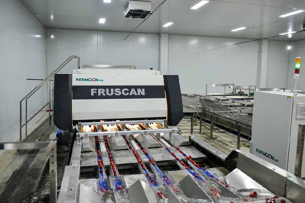 2021世界水果產業(yè)博覽會暨世界水果產業(yè)大會（FRUIT EXPO 2021）將于9月24-26日在廣州·廣交會展館隆重召開，與廣大業(yè)界同仁一起洞悉行業(yè)新風向，探索產業(yè)發(fā)展新模式，幫助參展企業(yè)增強品牌影響力，挖掘新市場、新商機，共同打造一場精彩紛呈的果業(yè)盛筵。長期以來，F(xiàn)RUIT EXPO組委會一直致力于為大家?guī)韺I(yè)、高端、國際化的