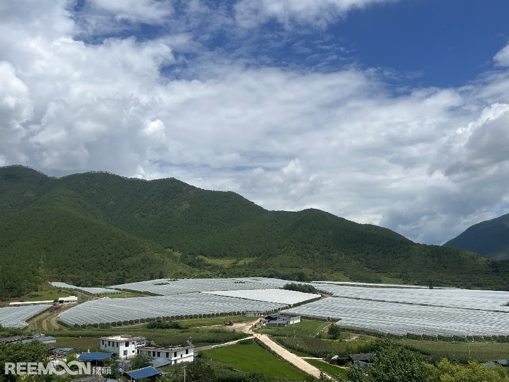麗江市蘋果種植主產(chǎn)區(qū)海拔2400-2700米，良好的立體環(huán)境條件造就了麗江蘋果糖度高、果肉緊密、硬度高、無污染的品質(zhì)特點。2019年，在全國種植產(chǎn)區(qū)的甄選中，鑫榮懋選定了云南省麗江市蘋果優(yōu)勢產(chǎn)區(qū)作為未來蘋果種植項目的實施地，目前已種植新西蘭引進的優(yōu)良蘋果品種。鑫榮懋以新品種、新技術及高品質(zhì)為發(fā)展蘋果種植的新契機，