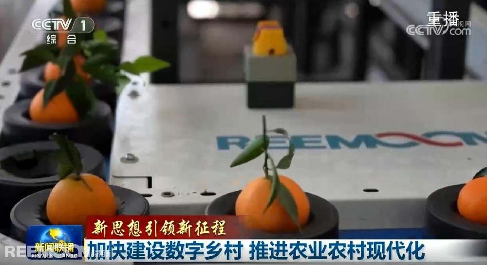 又又又上央視了2025開年見喜綠萌在半月之內(nèi)兩次登上《新聞聯(lián)播》2025年1月1日央視《新聞聯(lián)播》聚焦《甘肅省天水市麥積區(qū)南山花牛蘋果》其中一組畫面中綠萌蘋果雙通道分選線上鏡這條分揀線對蘋果的大小、色澤、瑕疵、糖度、霉心等指標進行精準檢測分級助推花牛蘋果做大做強助力果農(nóng)增收致富10